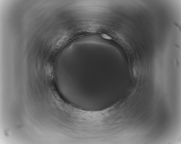 X0000100890031200807011207