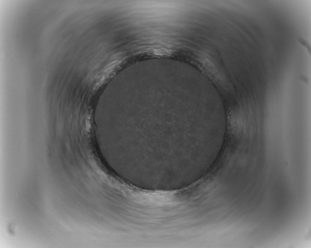 X0000100890032200807011207