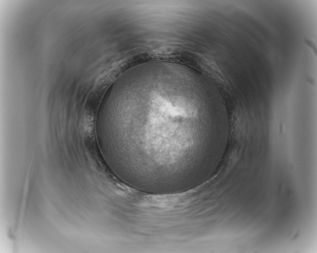 X0000100890033200807011207