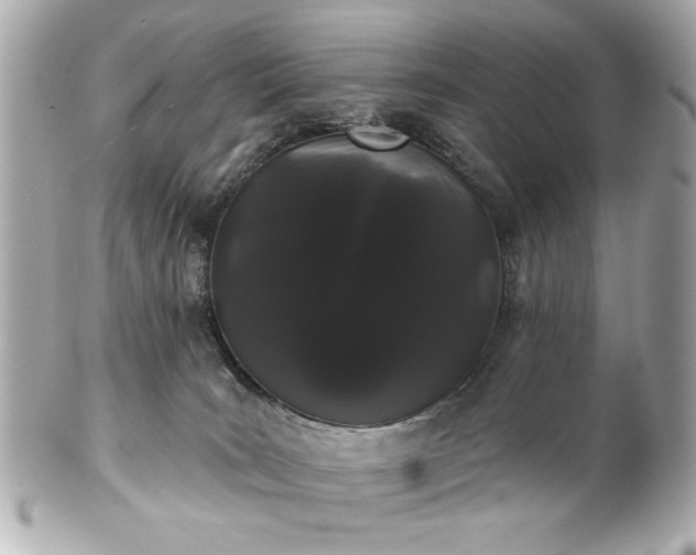 X0000100890035200807011207