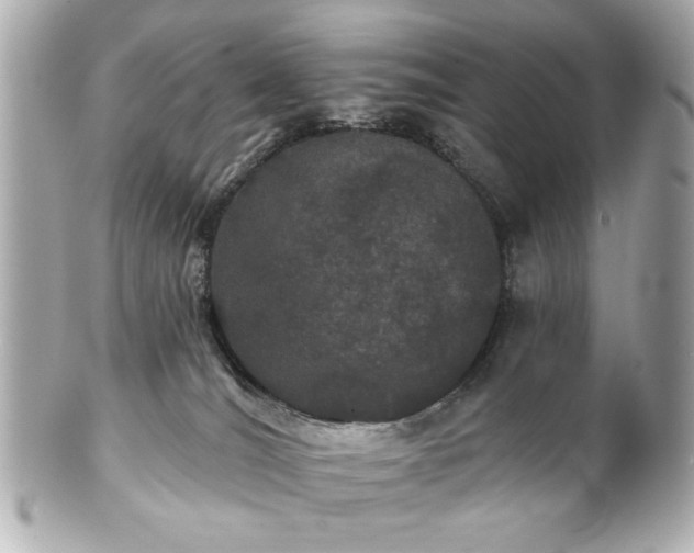 X0000100890036200807011207
