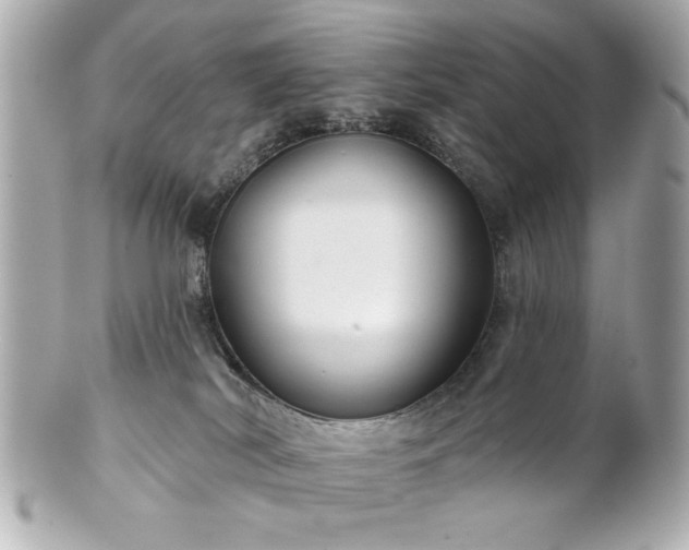 X0000100890038200807011207