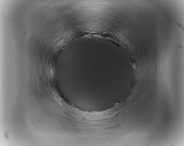 X0000100890039200807011207