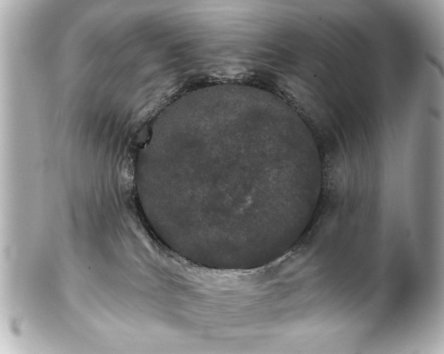 X0000100890040200807011207