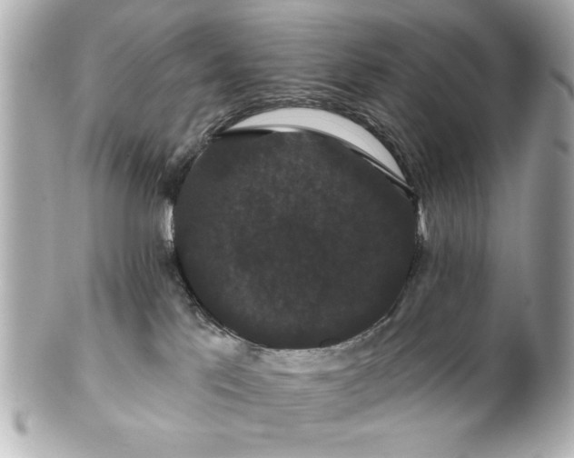 X0000100890041200807011207