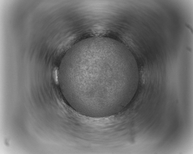 X0000100890042200807011207