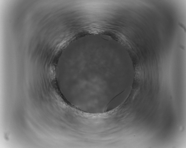 X0000100890043200807011207