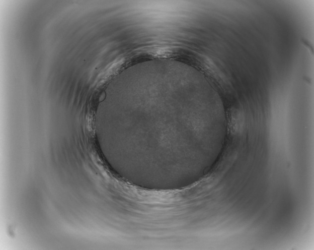 X0000100890044200807011207