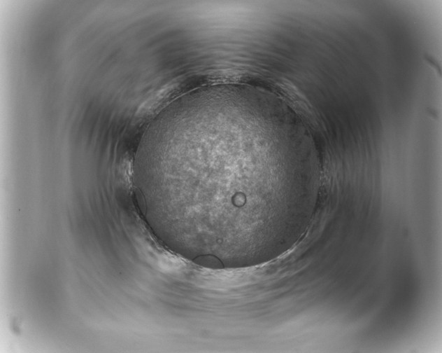 X0000100890045200807011207