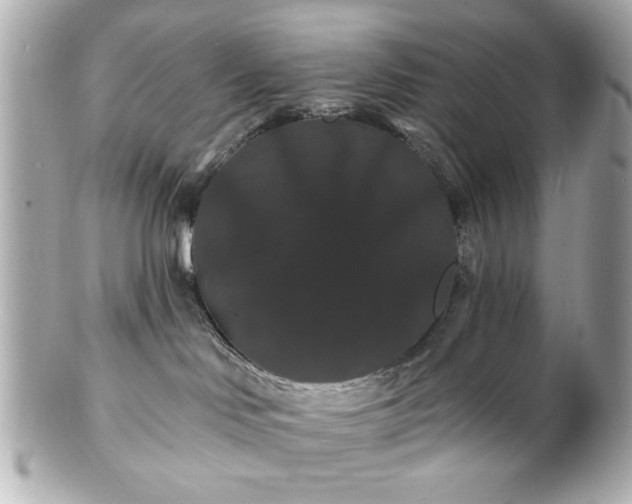 X0000100890046200807011207
