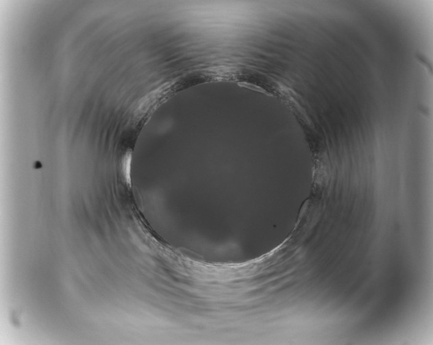 X0000100890047200807011207