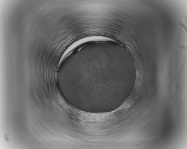 X0000100890048200807011207