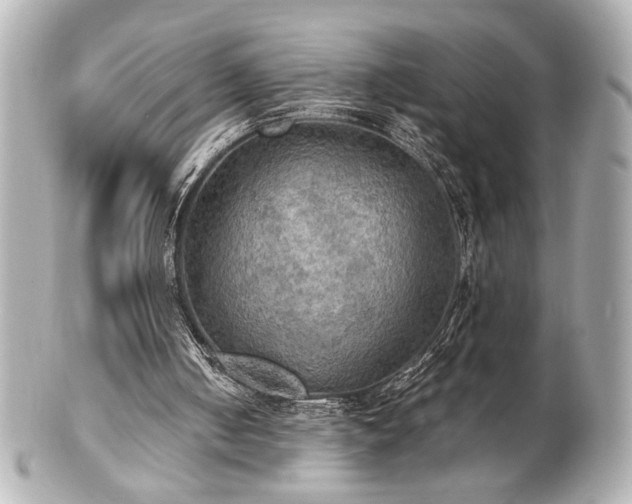 X0000100890050200807011206