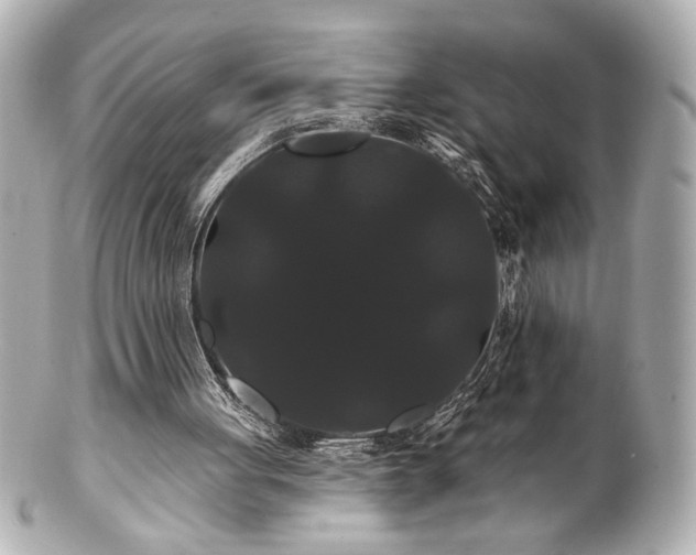 X0000100890051200807011206