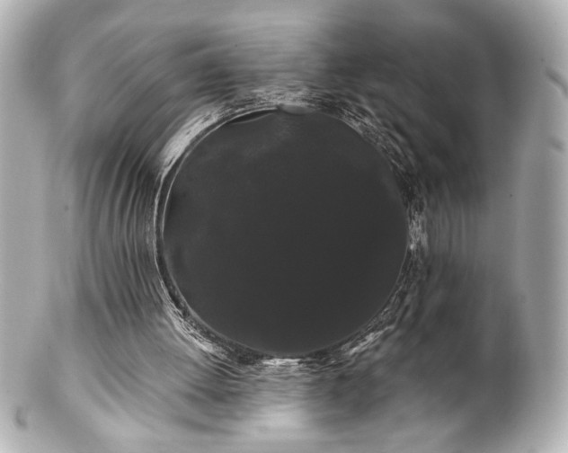 X0000100890052200807011206