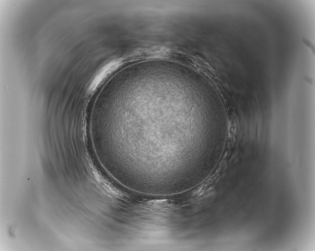 X0000100890054200807011206