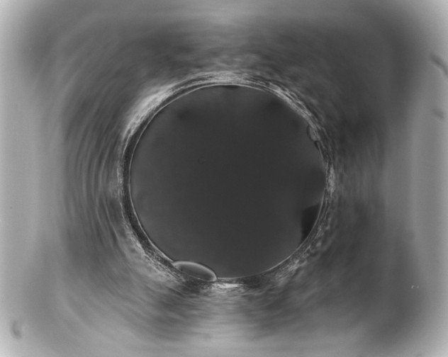 X0000100890055200807011206