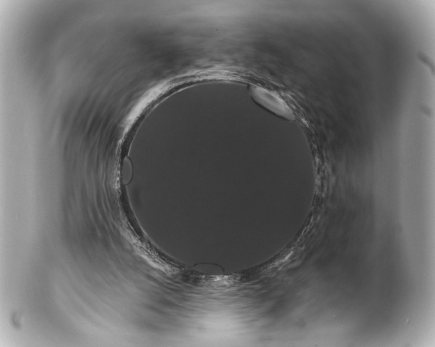 X0000100890056200807011206