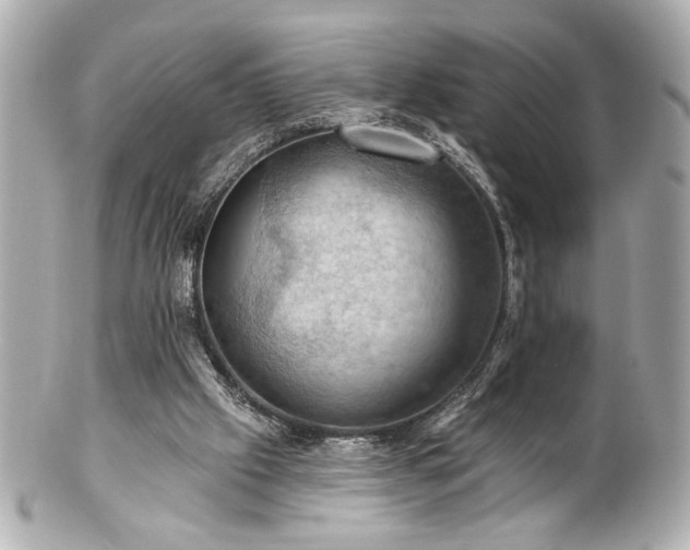 X0000100890057200807011206