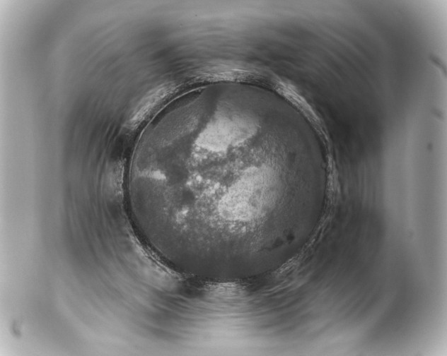 X0000100890058200807011206