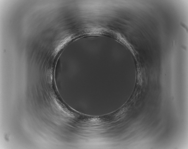 X0000100890059200807011206