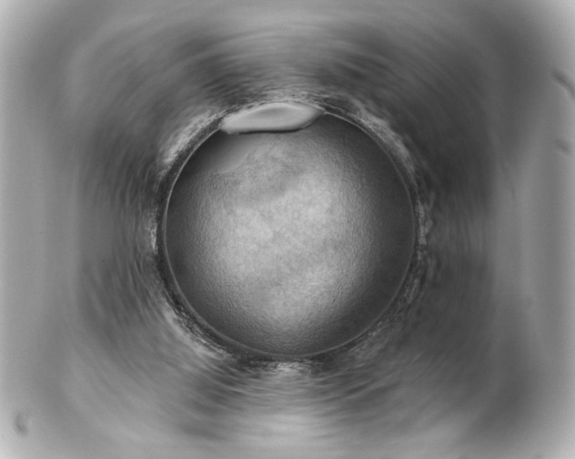 X0000100890060200807011206