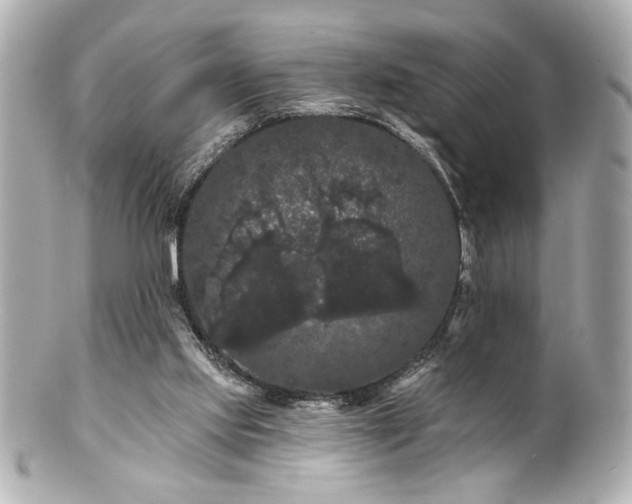 X0000100890061200807011206