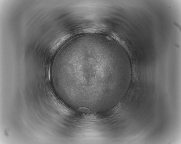 X0000100890062200807011206