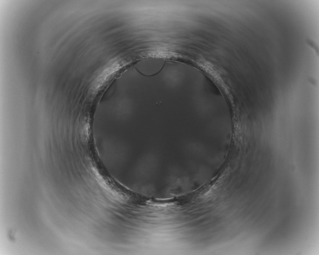 X0000100890063200807011206