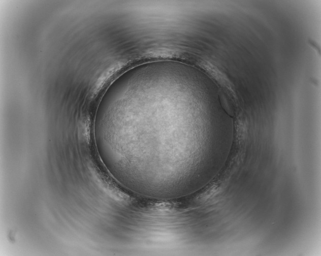 X0000100890064200807011206
