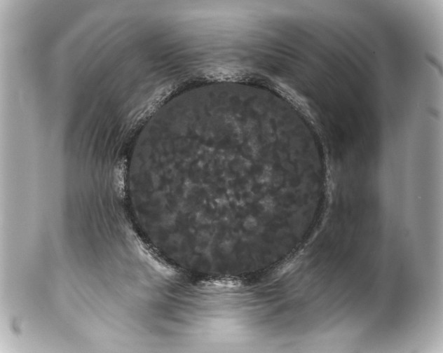 X0000100890065200807011206