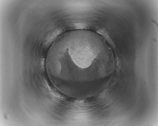 X0000100890066200807011206