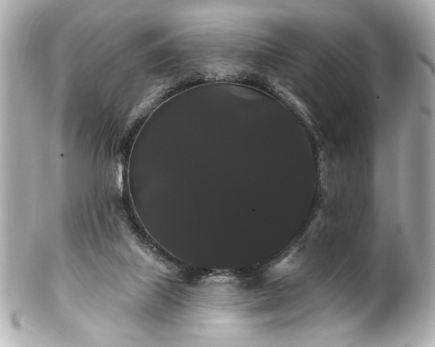 X0000100890067200807011206