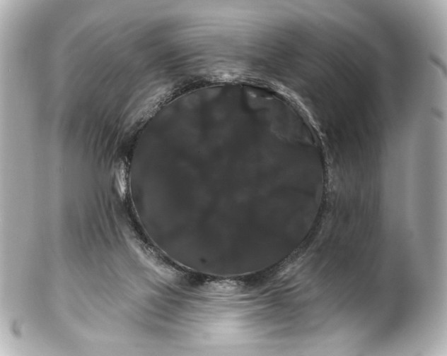 X0000100890069200807011206