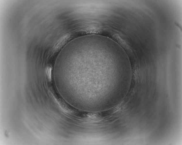 X0000100890070200807011206