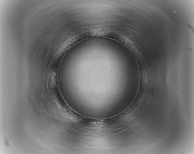 X0000100890071200807011206