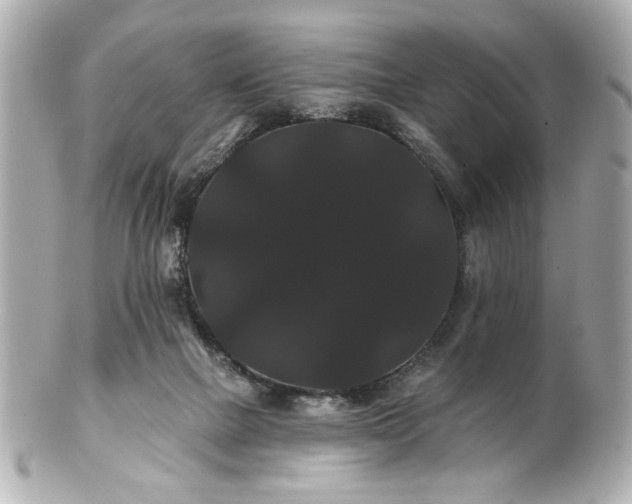 X0000100890073200807011207