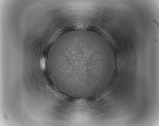 X0000100890075200807011207