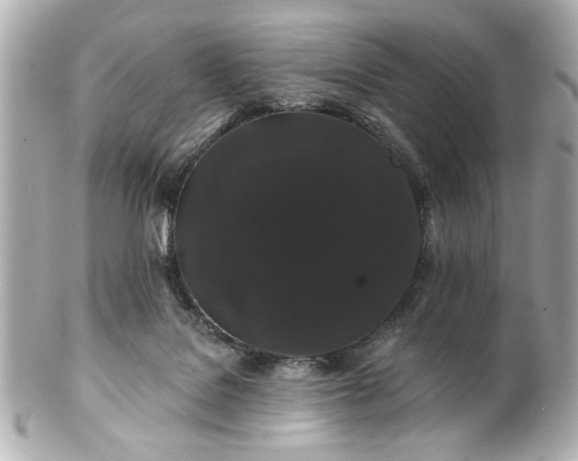 X0000100890076200807011207