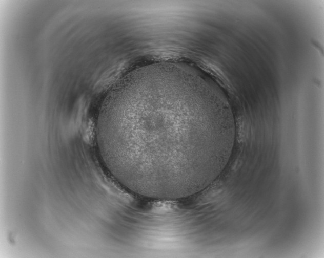 X0000100890077200807011207