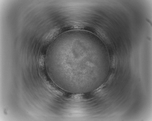 X0000100890078200807011207