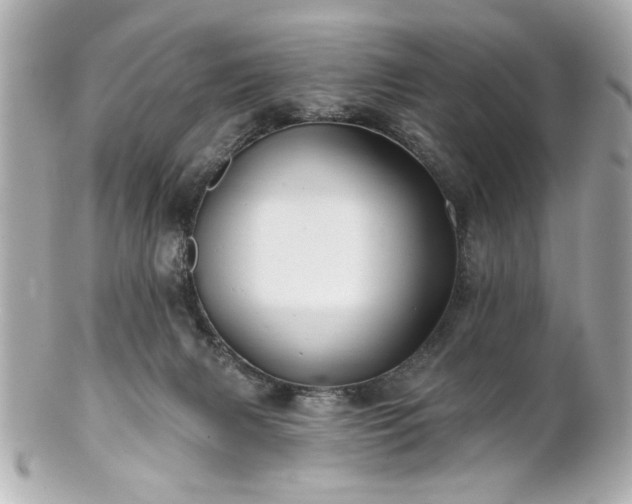 X0000100890079200807011207