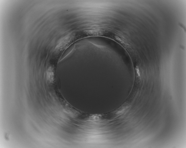 X0000100890080200807011207