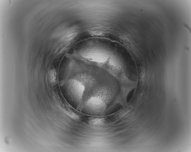 X0000100890081200807011207