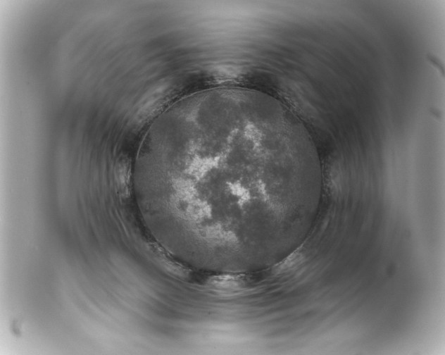 X0000100890082200807011207