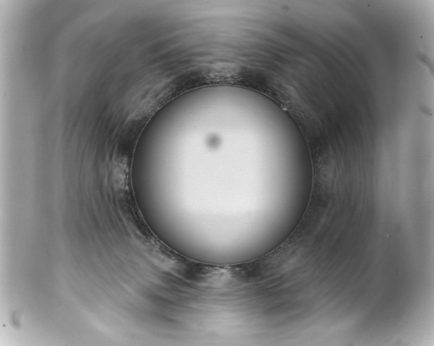 X0000100890083200807011207
