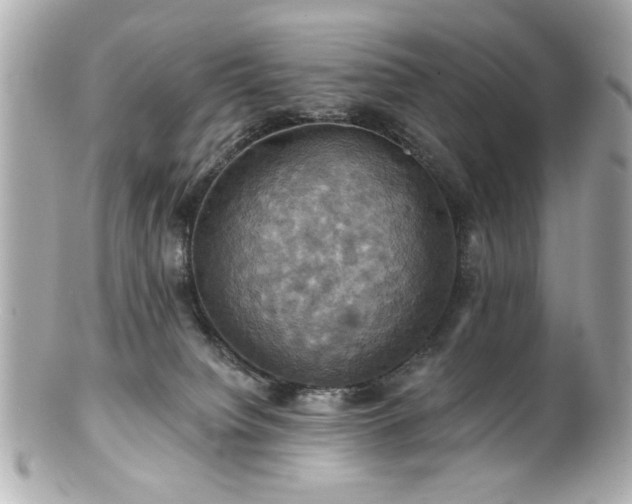 X0000100890084200807011207