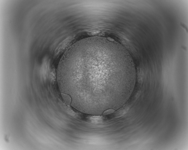 X0000100890085200807011207