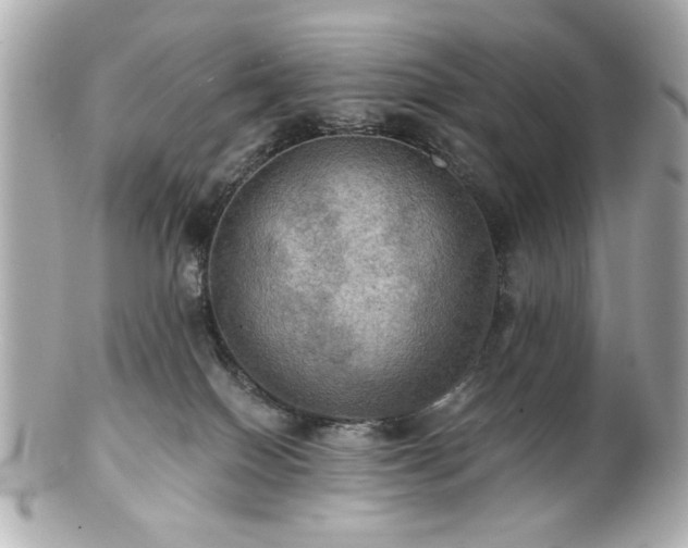 X0000100890086200807011207