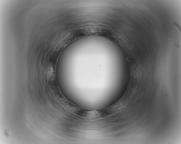 X0000100890087200807011207